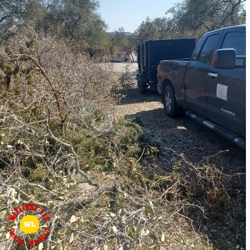 Yard Waste Removal Austin