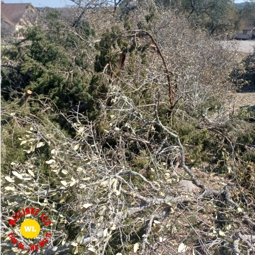 Yard Waste Removal Austin TX